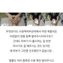 에스케어 이미지