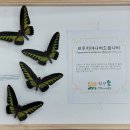 나비공원1(자연교육센터) 이미지