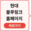 더네비 | 현대 블루링크 홈페이지 네비 무선업데이트
