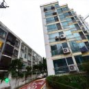 행운동-19 이미지