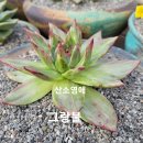 그랑불