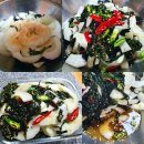 김치스쿨 이미지