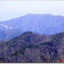 벌교파출소앞 이미지