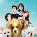 우리집상전 MBC연예