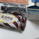댕스기빙데이 | 댕스 기빙 데이
