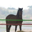 백수목장 이미지