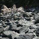 학암포 분점도 이미지