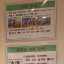 주정차단속-57 | 부산 해운대 브런치 카페 아보아보 딸기 시즌 음료까지!