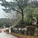 말로 - 양천구 목동동로 257 | 제주도 말 보러 간 말로 카페 후기