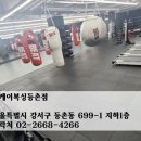 팀케이 복싱 이미지