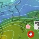 잣나무골 이미지