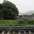 밀양향교 이미지