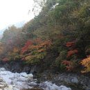 연스파펜션 이미지