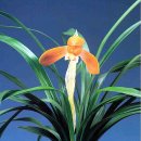 (주)금화 이미지