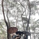 배동삼릉 이미지