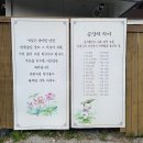 영랑사 | 당진 영랑사 템플스테이 후기 (feat 니모와 산책하기)
