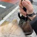 더바른동물병원 앞 이미지