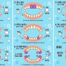 개구쟁이치과의원 | 아이 이가 흔들려요. (유치 빠지는 시기, 유치 빠지는 순서)