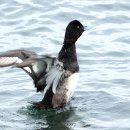 노을해안로 이미지