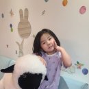 한빛산부인과의원 | 난임 진단서 발급 준비 나팔관 조영술 초음파 ,정자검사 비용 솔직 후기