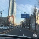 순도리네애견 이미지