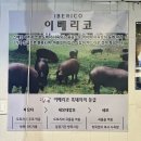 애막골길 L 네이버블로그