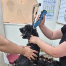 몽클라우드 이미지