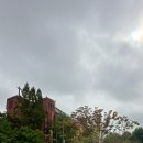 동빙고(근린공원) 이미지