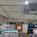 유아킥보드추천) 마이크로킥보드 맥시T 프로 디럭스 구입 후기