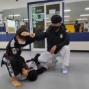 수룡관 박사 합기도 이미지