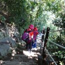 (주)송도공원 이미지