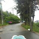 고향의봄도서관 이미지