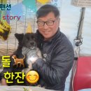 안면도덤앤더머 이미지