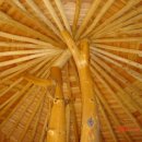 나무와흙 이미지