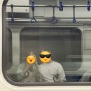 정공단로 3 | 👰🏻‍♀️🤍🤵🏻 신혼생활 : 좌천일신기독병원 산전검사후기 (지원금 신청)