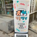 딩동댕냥
