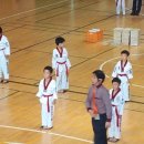 비사태권스쿨 이미지