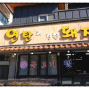 연탄과친한돼지 이미지