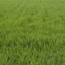 하거노2리마을회관 이미지