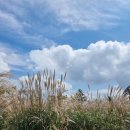 바람언덕 이미지