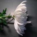 봉암동292 이미지