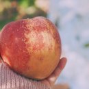 열방농장 이미지