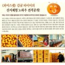신선고기아울렛 이미지