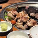 탐라탕 | 용인 동백 가족외식 회식으로 가볼만한 고기가 맛있는 탐라담 동백점 내돈내산 솔직후기