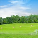 김남석농장 이미지