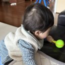 굿소일 | D+305 ~ 310 돌사진촬영 소면촉감놀이