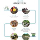 신흥2리마을 네이버블로그