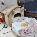 주식회사 티엔케이 이미지