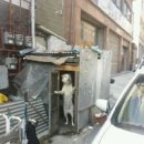 신기방기 이미지