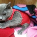 세계로 동물병원 이미지